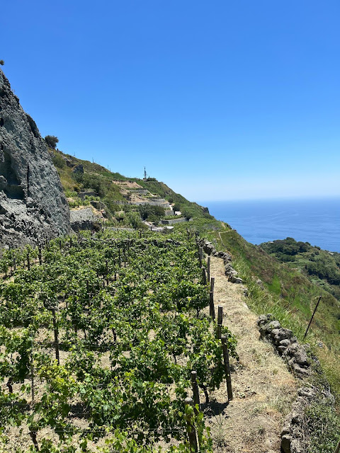 Ischia tra storia e tradizione, tenuta frassitelli