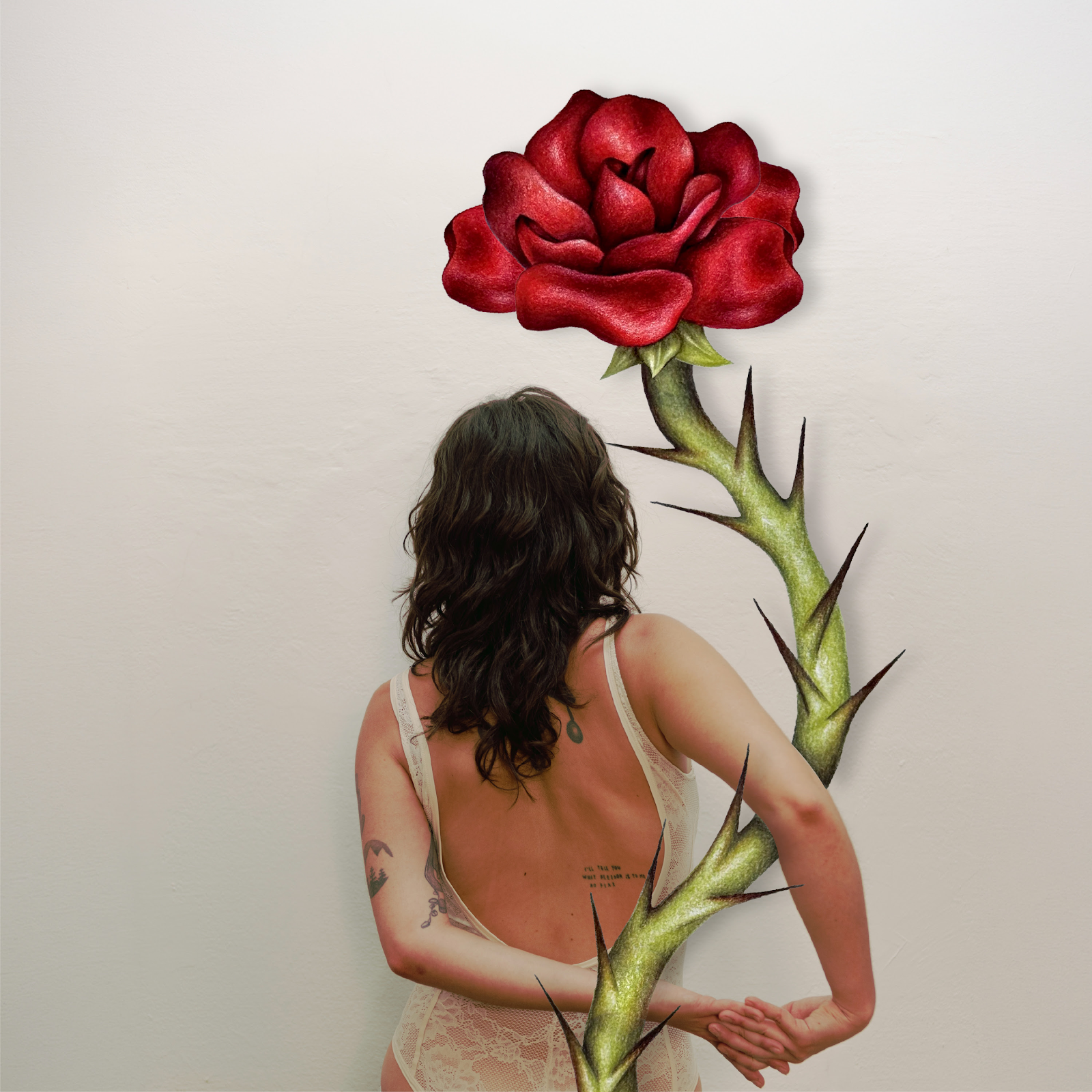 “rose petal” è il nuovo singolo di CECILIA BARRA